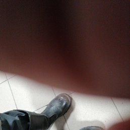  , , 59  -  21  2025