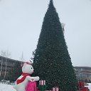 ���� ������, �������, 53 ���� - ��������� 10 ������ 2026 � ������ ���� ����������
