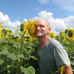 �����, 53 ����, ���������