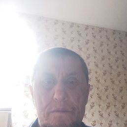 ����, 41 ���, ������