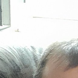 ���������, ����, 48 ���