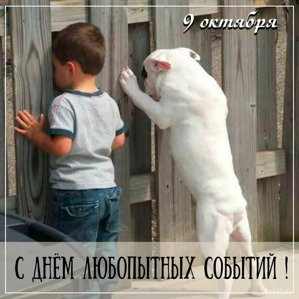 : , , , , ,  - 8