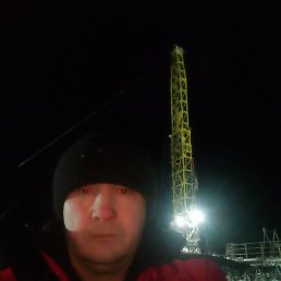 ����, �����������, 55 ���