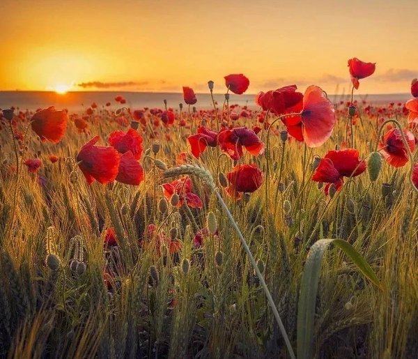 ������� � ����� � ����� ����. �������, ����� � �������. � ��������� ��������