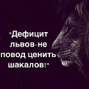 ���� A, �����������, 43 ���� - ��������� 2 ������ 2024 � ������ ���� ����������