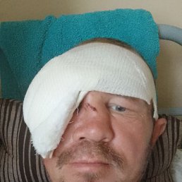 �������, ������, 41 ���