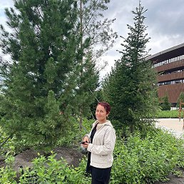 �������, �����������, 55 ���