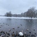 ���� �������, �����-���������, 67 ��� - ��������� 28 ������ 2026 � ������ �2026 _ ���� _�������