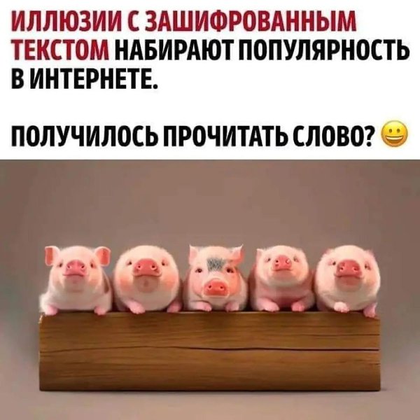  - 11  2023  16:12