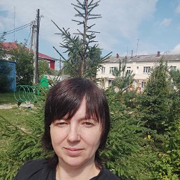 , 43,  