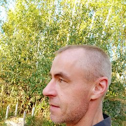, 45, 