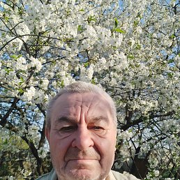 , 74, 