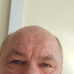 , 61, 