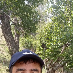 , 21, 