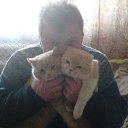 ���� ������, ���������-��������, 51 ��� - ��������� 10 ������ 2026 � ������ ���� ����������