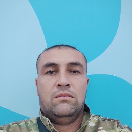 , 41 , 