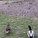 ���� ������, �������, 62 ���� - ��������� 13 ��� 2025 � ������ ���� ����������