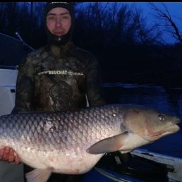 , 36, 