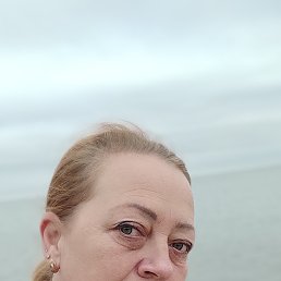 ���� ���, ������, 44 ���� - ��������� 12 ������� 2025