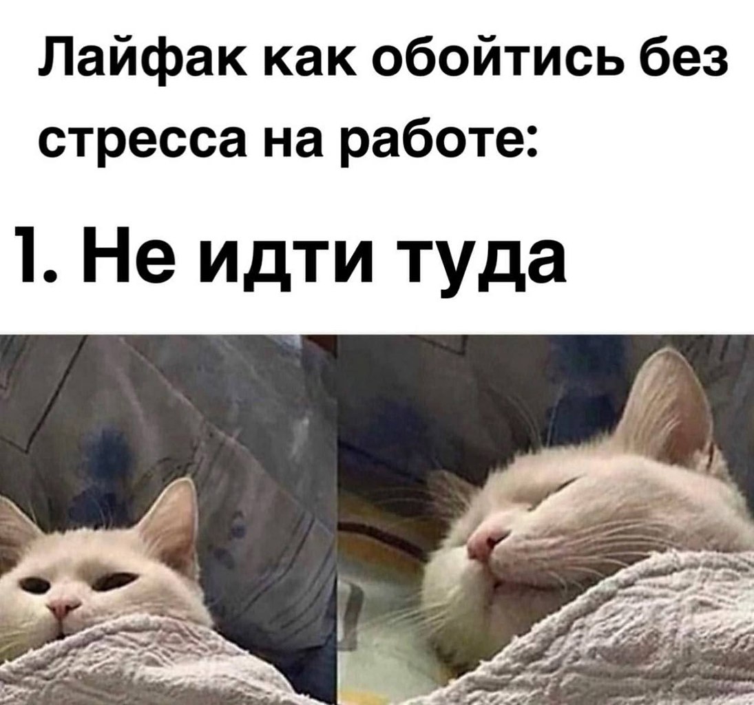  - 3  2025  08:44