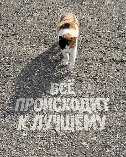 .�������. - 2 ������ 2025 � 02:05 - 3