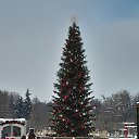 ���� �������, ������, 64 ���� - ��������� 24 ������ 2026 � ������ ���� ����������