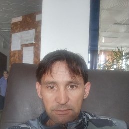 , 29, 