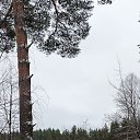  ,  , 62  -  1  2024    