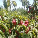 ���� �������� ���������, ������, 45 ��� - ��������� 17 ���� 2024