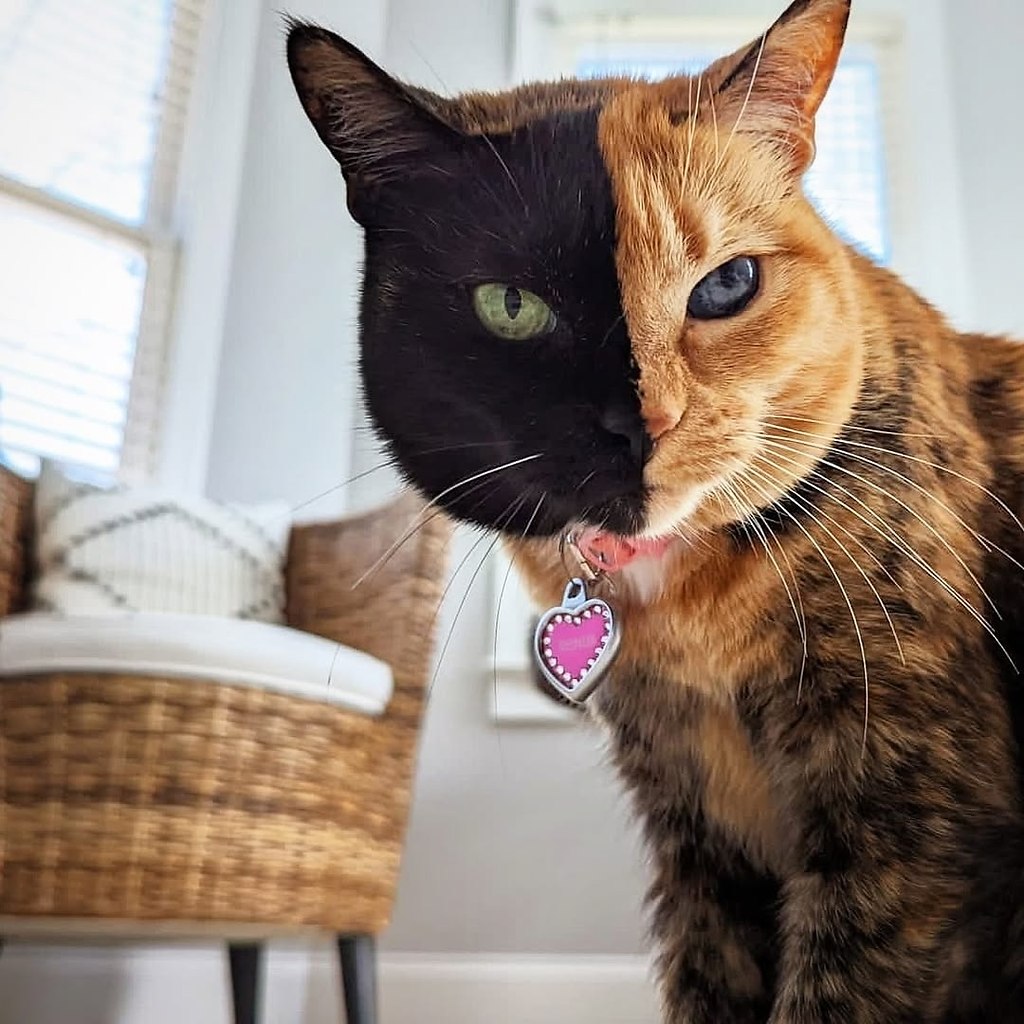     .  16 ,     ,  ,   ... - 2