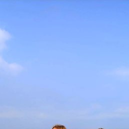 Dina, 27, -