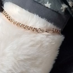 �����, ������, 56 ���