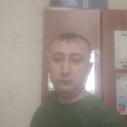 , 39,  