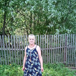  , -, 53  -  29  2024