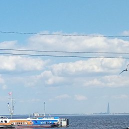 ������ ������, ������, 55 ���