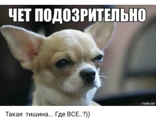 ***Victoria Viktorovna*** - 7  2024  14:18