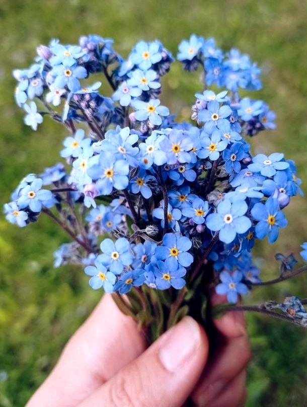 У нас у всех есть незабытый человек... Мы помним, зная точно, Узнаем смех его из тысячи людей, Из ...