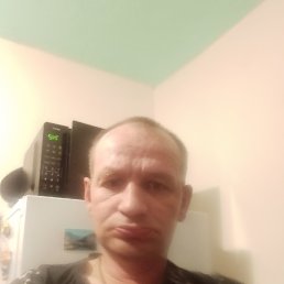  , 41, 