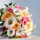 ���� ����, ������ - ��������� 6 ������ 2026 � ������ ������ ��������