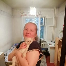 , 41, 