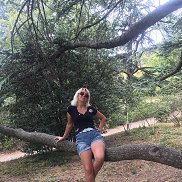 �����, , �����������