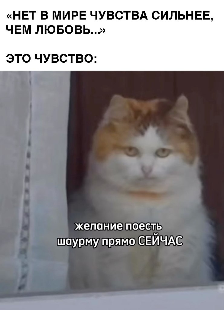    - 22  2024  02:22