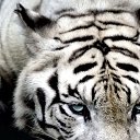 ���� �����, ���������, 20 ��� - ��������� 30 ������� 2023 � ������ ���� ����������