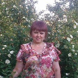 �����, ����, 66 ���