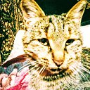 ���� ����, ���������, 48 ��� - ��������� 9 ����� 2026