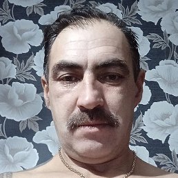 ����, �����, 48 ���