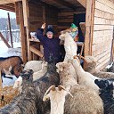  , -, 64  -  11  2025    