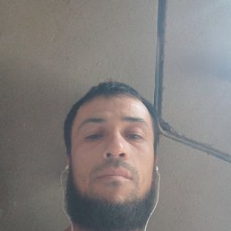 , 29, 