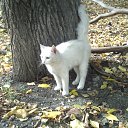 ���� �������, ������� - ��������� 1 ������� 2025 � ������ ������ ��������