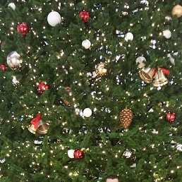 ������, ���������, 39 ���